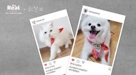[리얼푸드]하림펫푸드, ‘더리얼 로우’ 강아지사료와 패션브랜드 콜라보