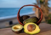 [리얼푸드]케냐의 아보카도, 새로운 전략 수출품 될까