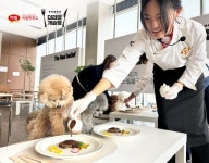 [리얼푸드] ‘개슐랭’ 요리도 맛보세요…하림펫푸드, 해피댄스 스튜디오 투어 재개