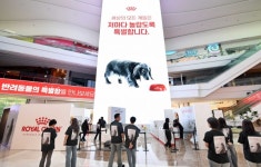 [리얼푸드] 로얄캐닌코리아, 국내 첫 단독 브랜드 팝업 성료