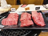 [리얼푸드] 감칠맛 칡소, 부드러운 제주흑우…한우 품종별 맛의 향연