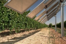 [리얼푸드] 스페인, 스마트농업 투자 확대