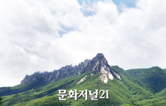 설악산 오색케이블카 점입가경…문화향유 혹은 자연보호