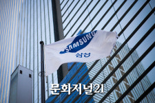삼성전자, 보유 자기주식 잔여분 소각 결정