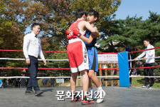 제5회 양천구 협회장배 복싱대회 성황리 개최