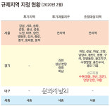 [2.20 부동산 정책] 조정지역 ‘핀셋 지정’ LTV 강화