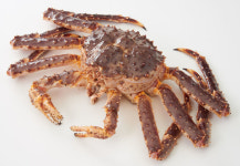 수요 늘어난 킹크랩‧대게…롯데마트, 할인 돌입