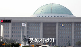 삼성전자 임원의 출입증 악용…국회 관리체계 ‘도마 위’