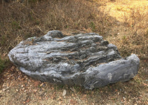 환경단체 대우건설 고발, 아파트에 불법 석면조경석