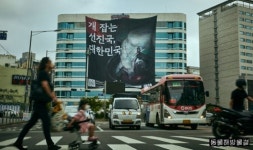 개 식용 문제 아직도 그대로 정부 구체적 로드맵 마련해야