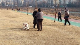 의정부시,사람과 동물이 공존하는 행복도시 만들기