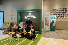 스타벅스, 유기 동물 입양 캠페인…함께 놀다가시개 진행