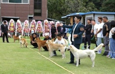 우수진돗개 선발 70회째…이철용 회장 품성 전세계로