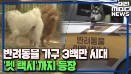 반려가구 3백만 시대..펫 택시도 등장/데스크