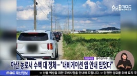 아산 농로에서 차량 수백 대 정체⋯내비게이션 앱 믿다가...