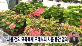 세종 전의 묘목축제 21일부터 사흘 동안 개최