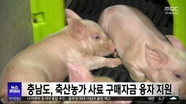 충남도, 축산농가 사료 구매자금 융자 지원