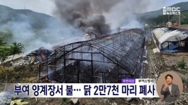 부여 양계장서 불.. 닭 2만7천 마리 폐사
