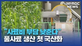 사료비 부담 낮춘다 풀사료 생산 첫 국산화/데스크
