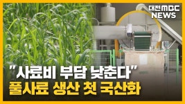 사료비 부담 낮춘다 풀사료 생산 첫 국산화/투데이