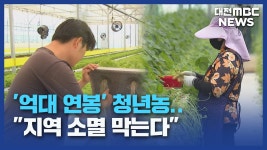 억대 연봉 청년농..지역 소멸 막는다/데스크