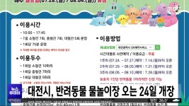 대전시, 반려동물과 함께하는 물놀이장 24일 개장