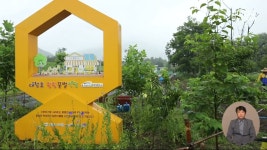 들깨 심어 꿀벌 살리자..대청호 윙윙꿀벌식당 개소