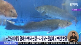 대전노은도매시장 현대화 예타 선정⋯사정교~한밭대교 도로 예산 반영