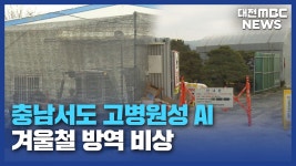 [리포트]충남서 올겨울 첫 고병원성 AI..방역 비상