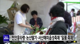 충남 최고 축제는 천안흥타령·논산딸기·서산해미읍성축제