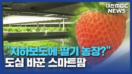 [리포트]방치된 폐지하보도가 스마트팜으로 재탄생