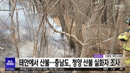 태안 소원면서 산불.. 20여 분 만에 진화