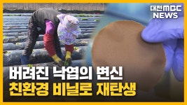 [리포트]낙엽의 변신⋯땅에서 분해되는 농업용 비닐