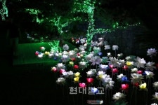 음악과 꽃향기에 취해… 한여름 밤의 낭만