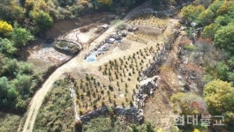 수행도량 뒤편에 불법 펜션 단지가?