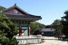 전통건축의 살아있는 계보…언젠가 내가 들어와 살지도 모르죠