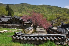 [노재학의 한국 산사의 장엄세계] 순천 선암사