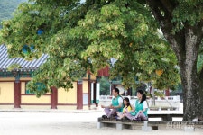 코칭 도입, 과학 접목… 禪명상 방향