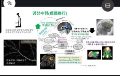 코로나 시대, 불교가 제시하는 치유법