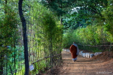 강남 봉은사에 명상길 탄생, 힐링사찰 한발 더