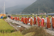 [삼보사찰 천리순례] 11일차 순례, 가을과 함께 걷다