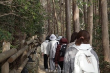 마음길 걷기명상으로 휴식을 얻어요!