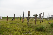 전북 5대 종단협의회 새만금 살리기 생명평화문화제 개최