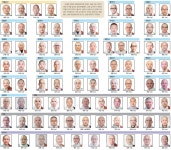 조계종, 18대 중앙종회의원 81명 확정…5개 본사 선거 종료