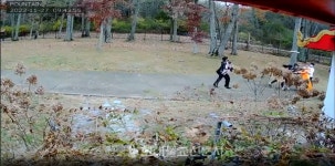 美, 사찰 절도 잇따라 발생