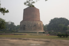 [상월결사 인도순례] 순례서 만날 주요 불교성지들