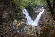 올 여름엔 특별한 템플스테이 어때요?