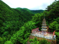 정선 정암사 산문 열린 날, 문화로 장엄된다