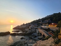 [장보배의 24번의 계절] 3. 입춘 _ 부산 길을 걷다