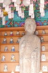 [장보배의 24번의 계절] 5. 경칩 _ 용인 길을 걷다